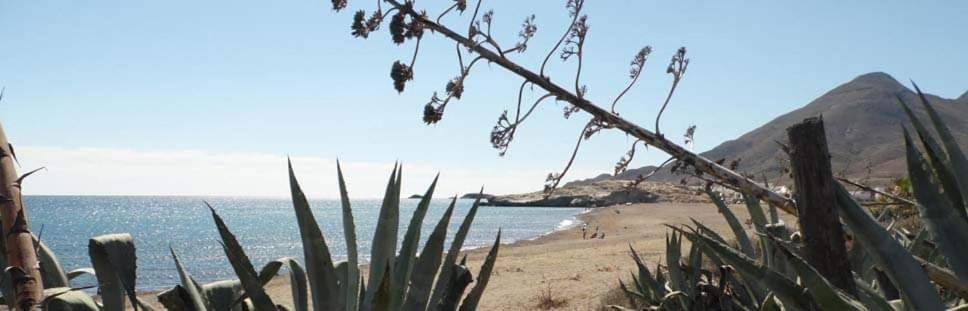 Hostal Casa Emilio Almería Zewnętrze zdjęcie